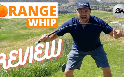 Orange Whip Trainer Review